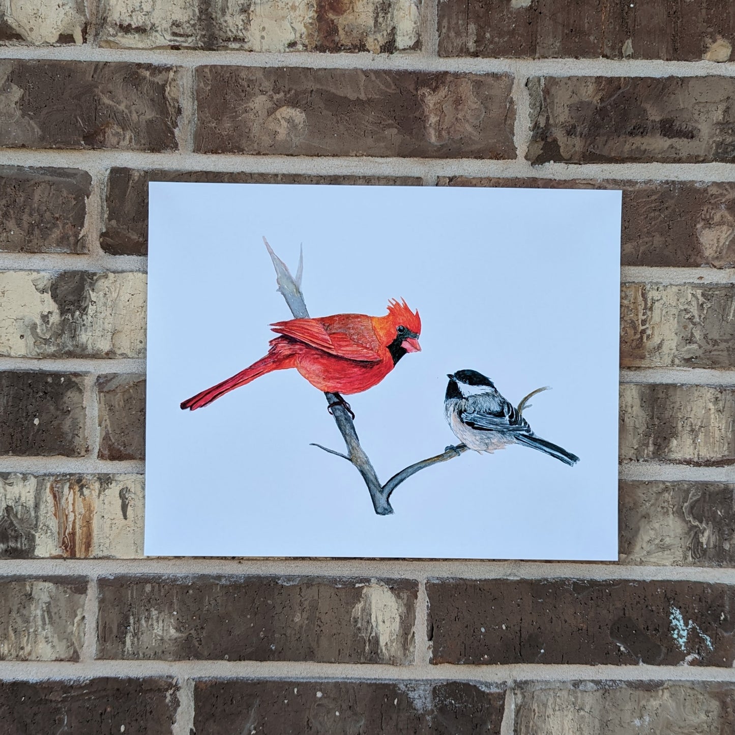 Cardinal and Chickadee Bird Print