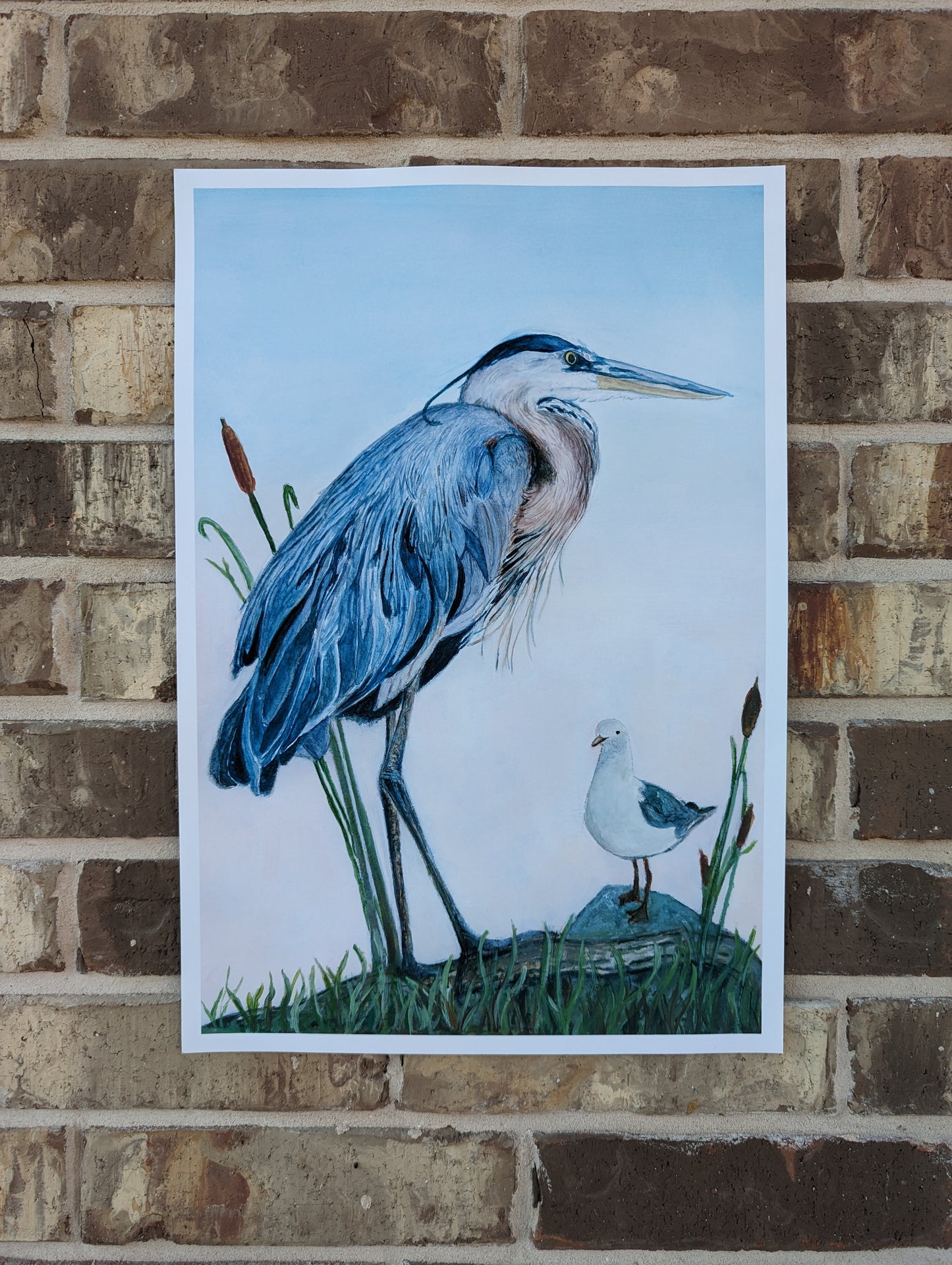 Blue Heron with Seagull Art Print