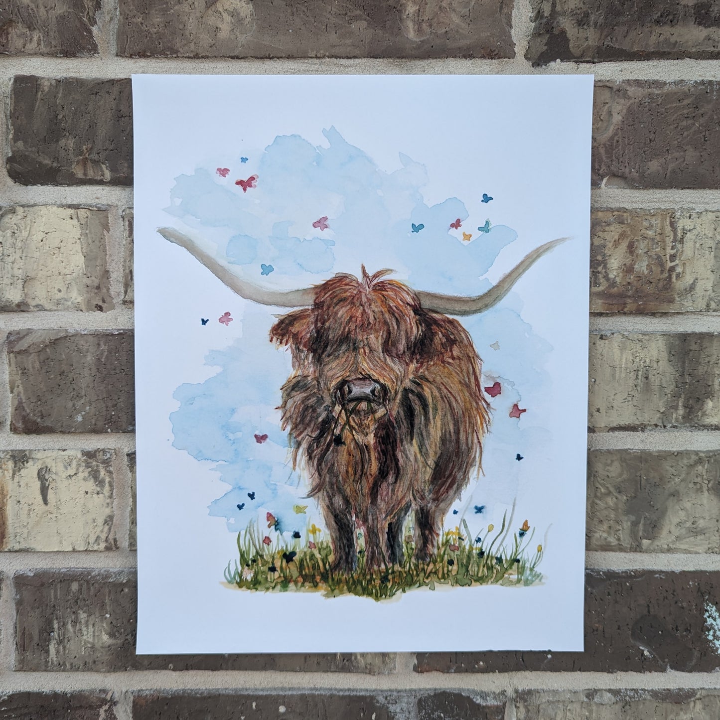 Highland Cow in Field