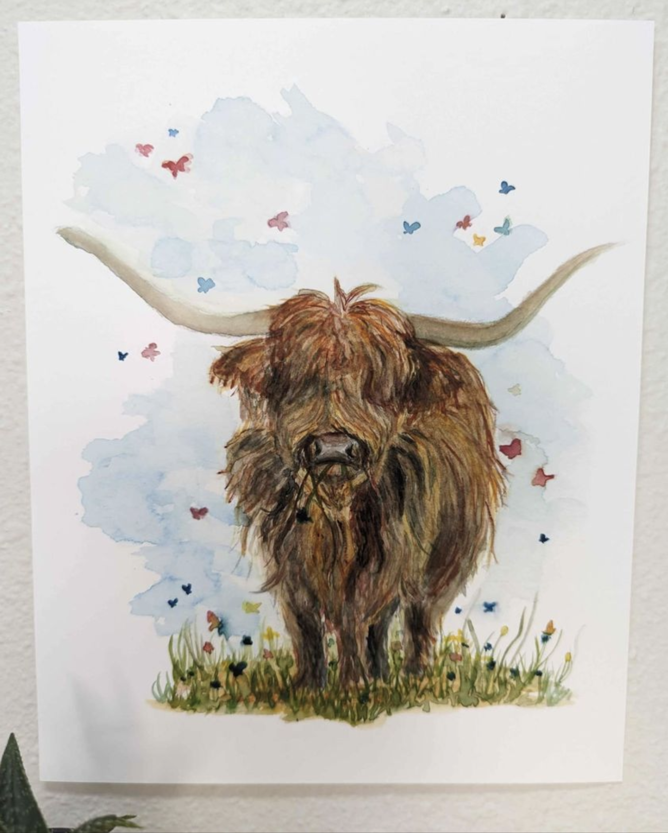 Highland Cow in Field
