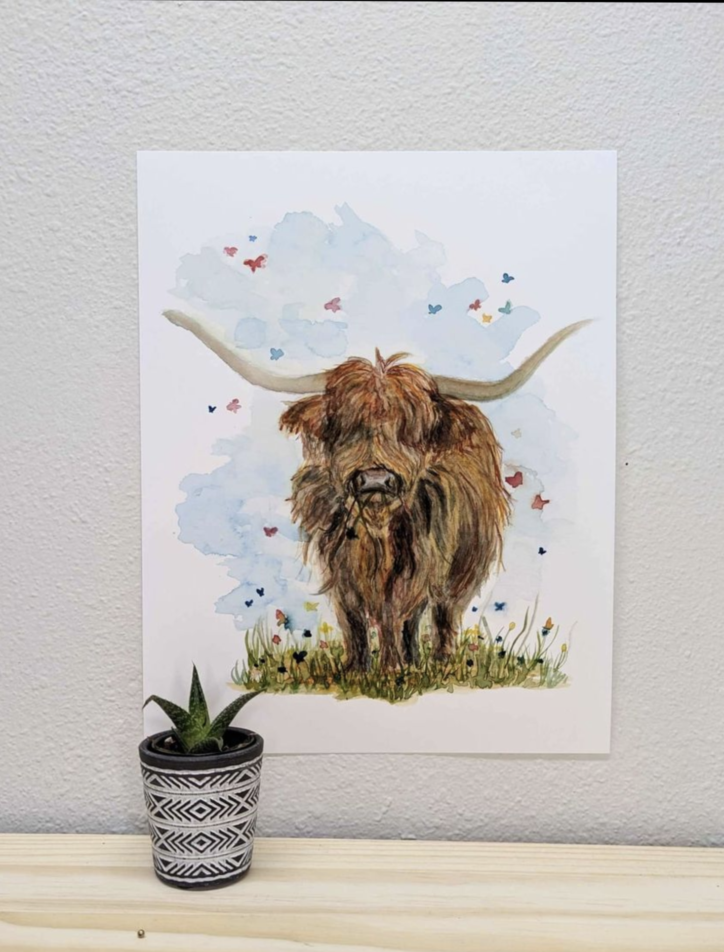 Highland Cow in Field