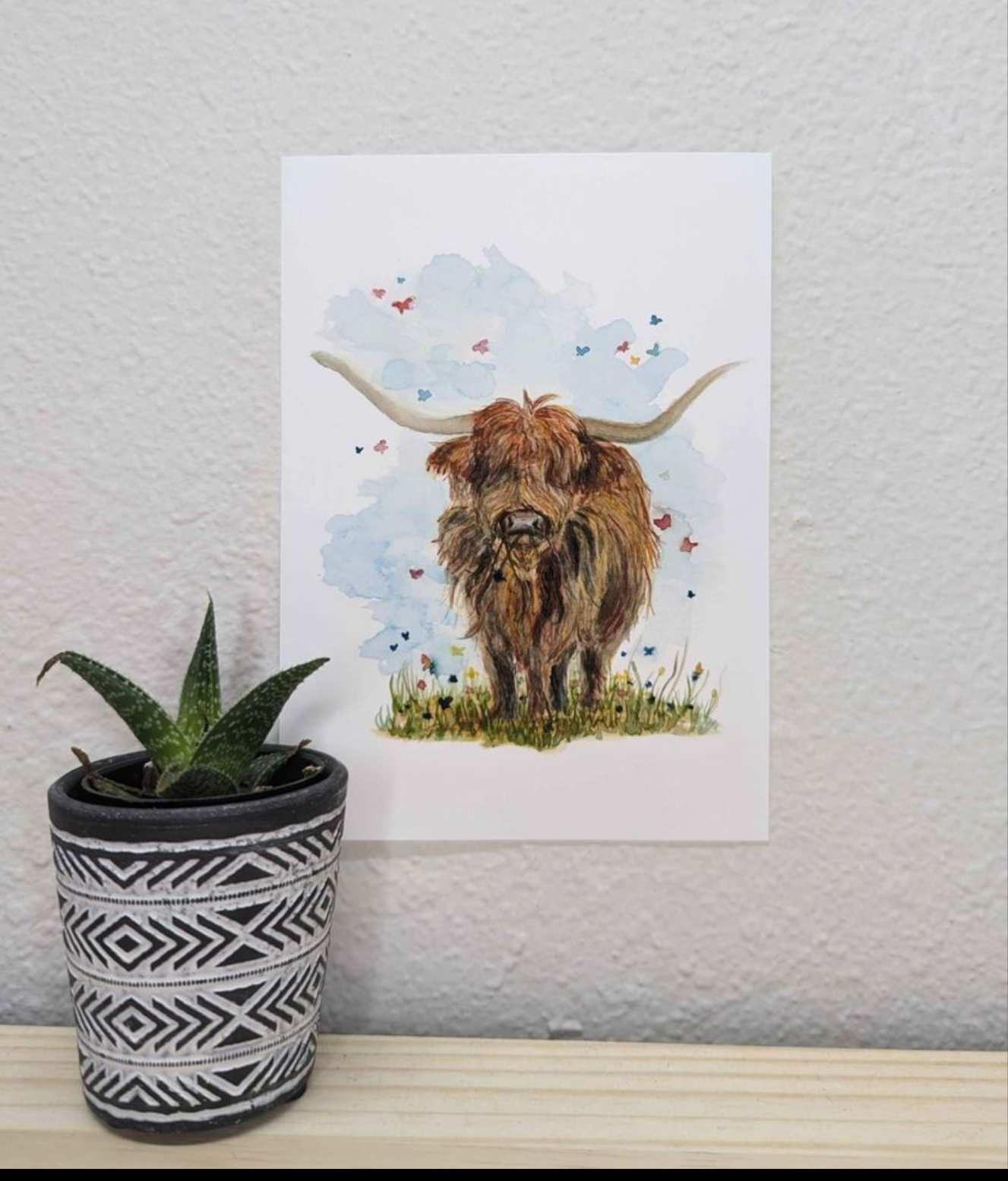 Highland Cow in Field