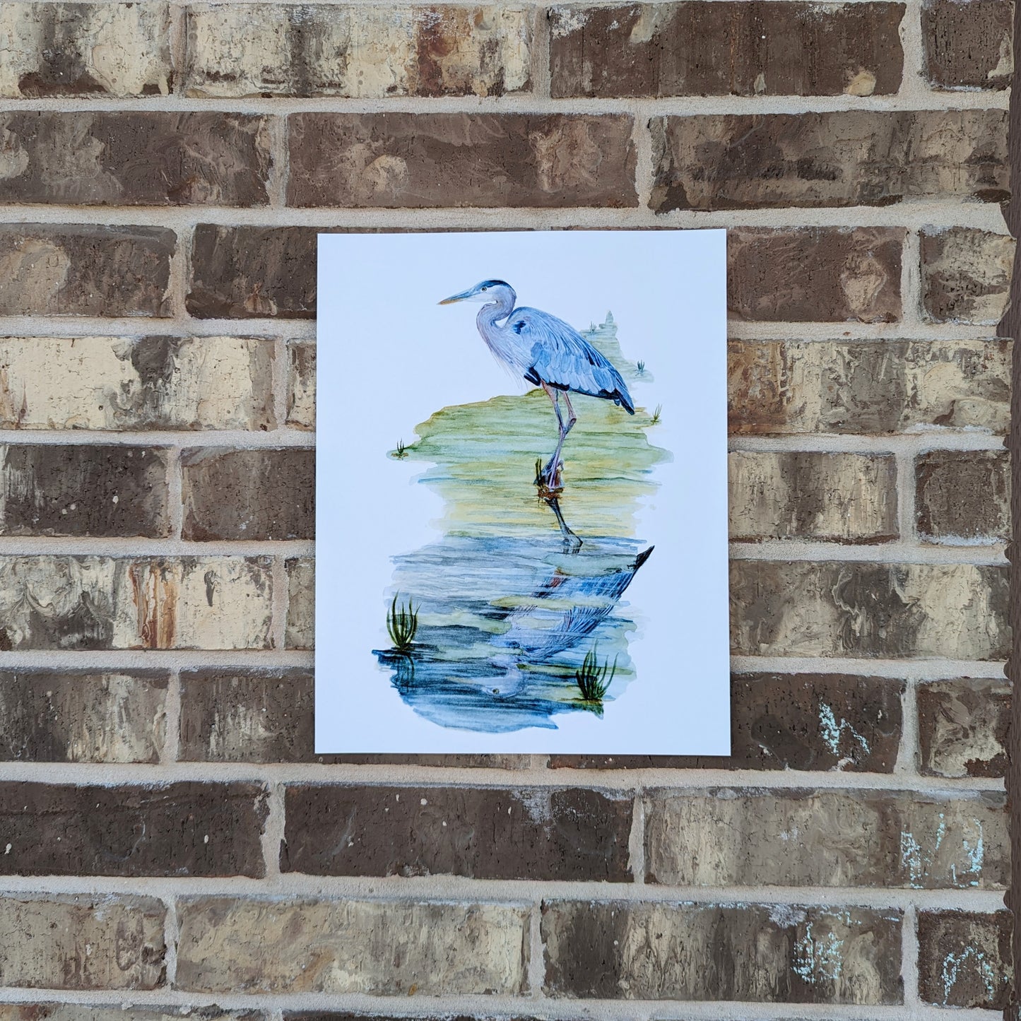 Blue Heron in Creek