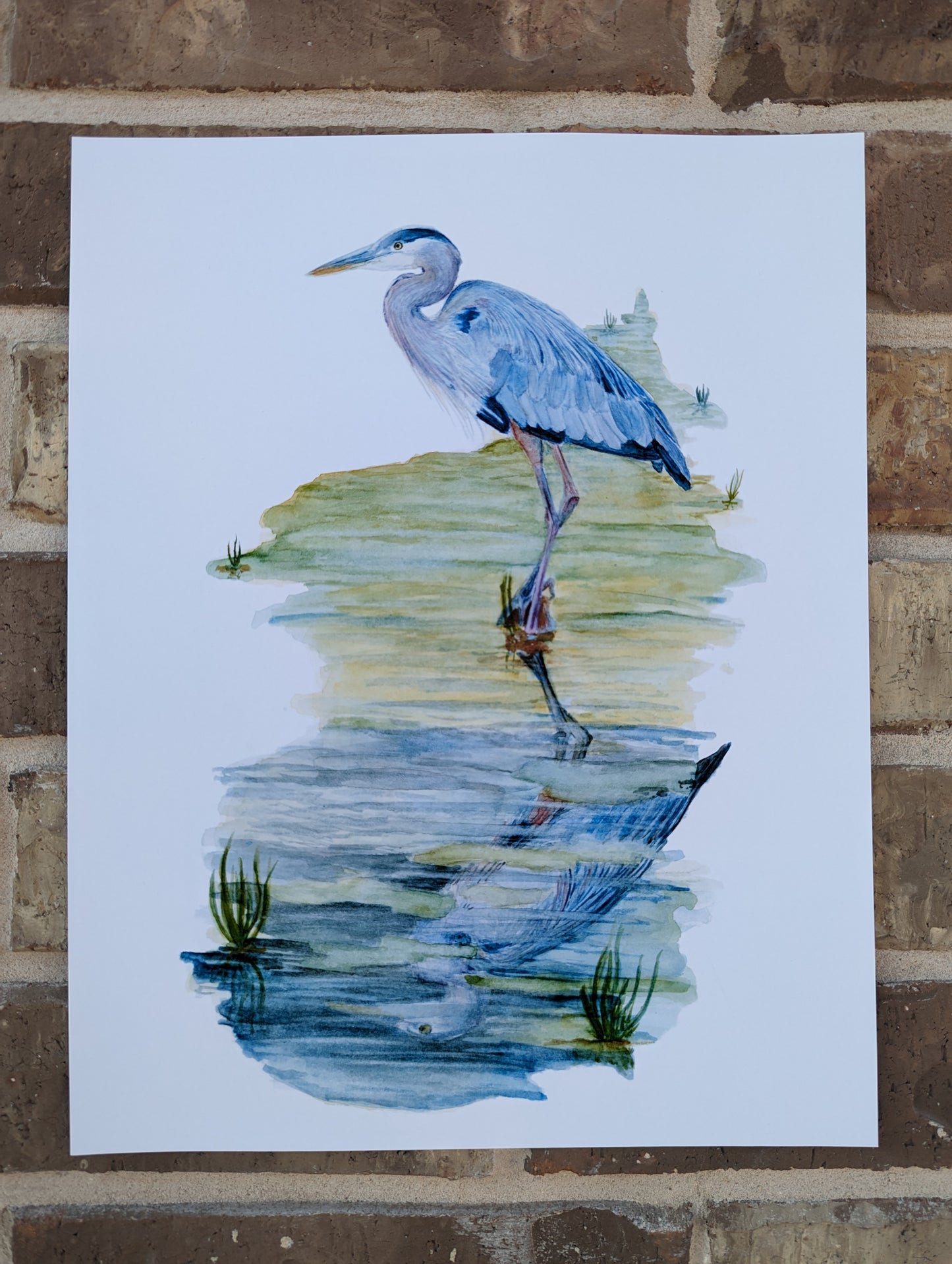 Blue Heron in Creek