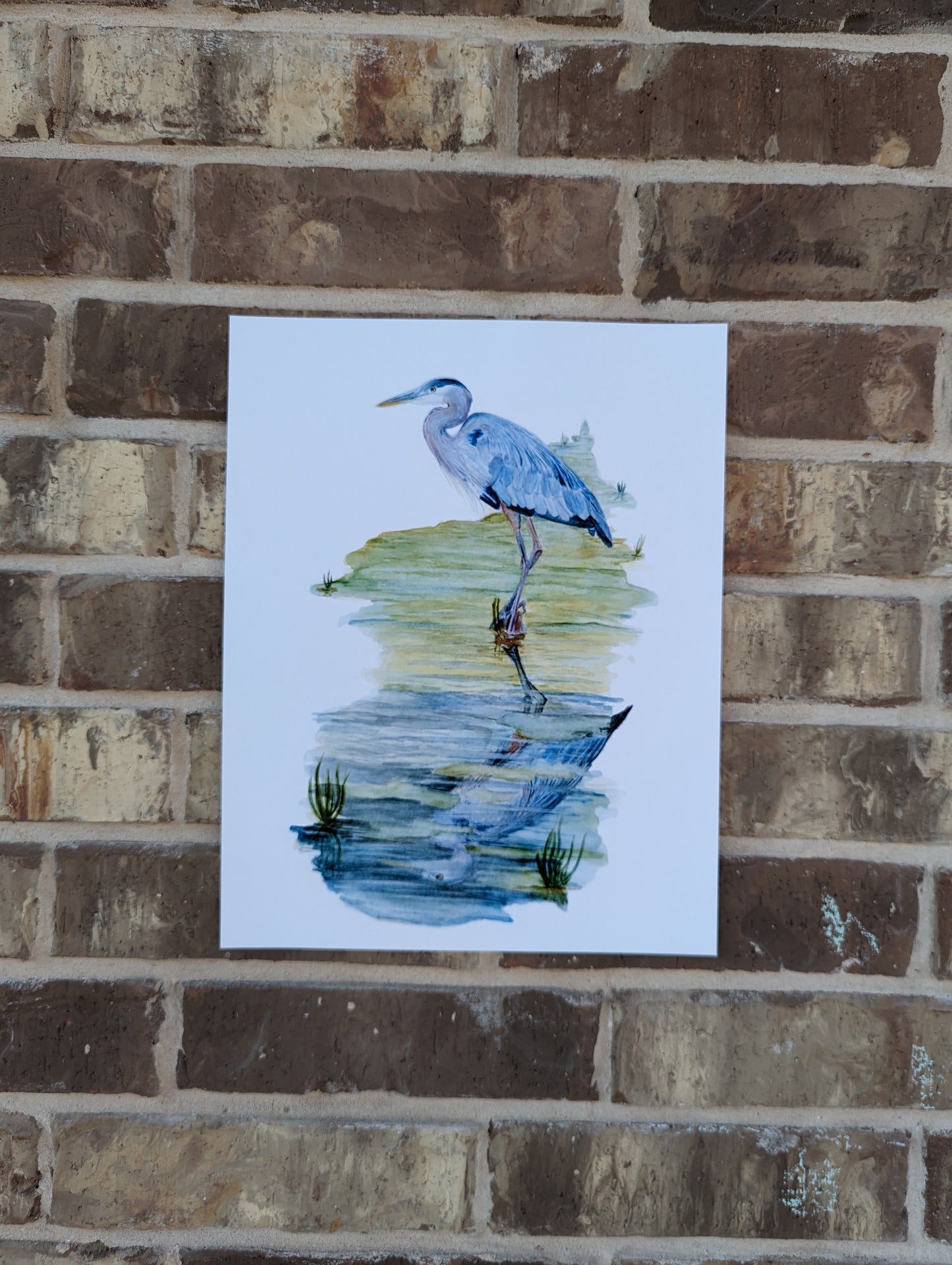 Blue Heron in Creek