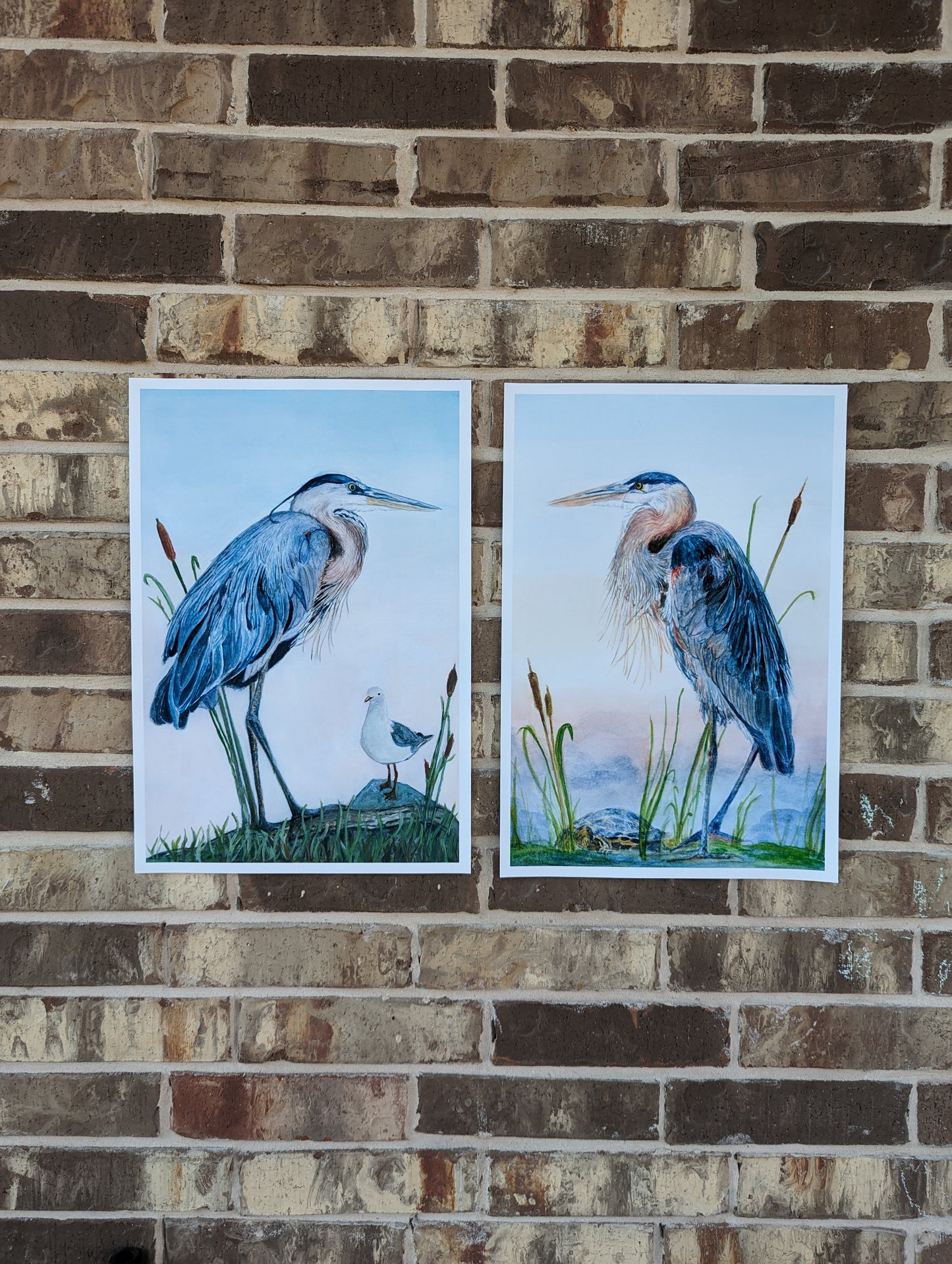 Pair Blue Heron Fine Art Prints