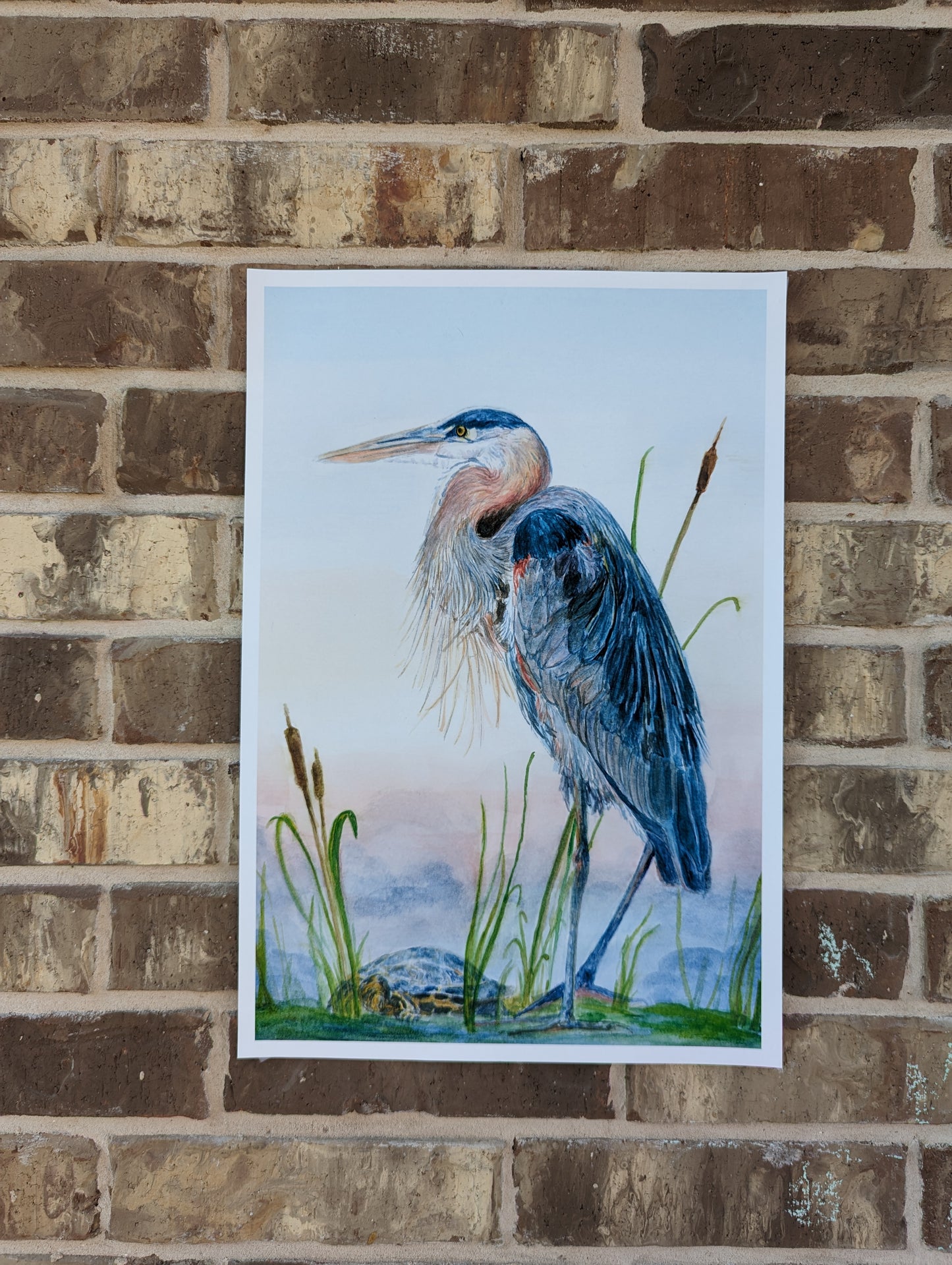 Great Blue Heron Fine Art Print