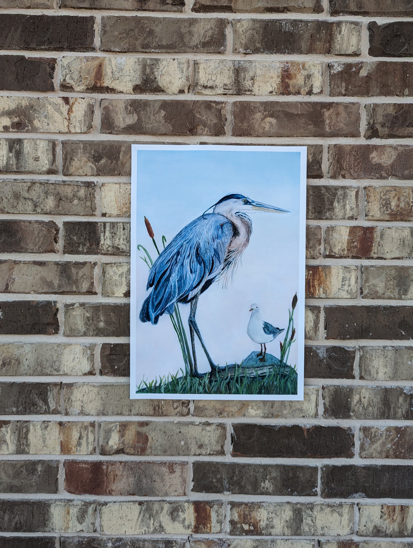 Blue Heron with Seagull Art Print