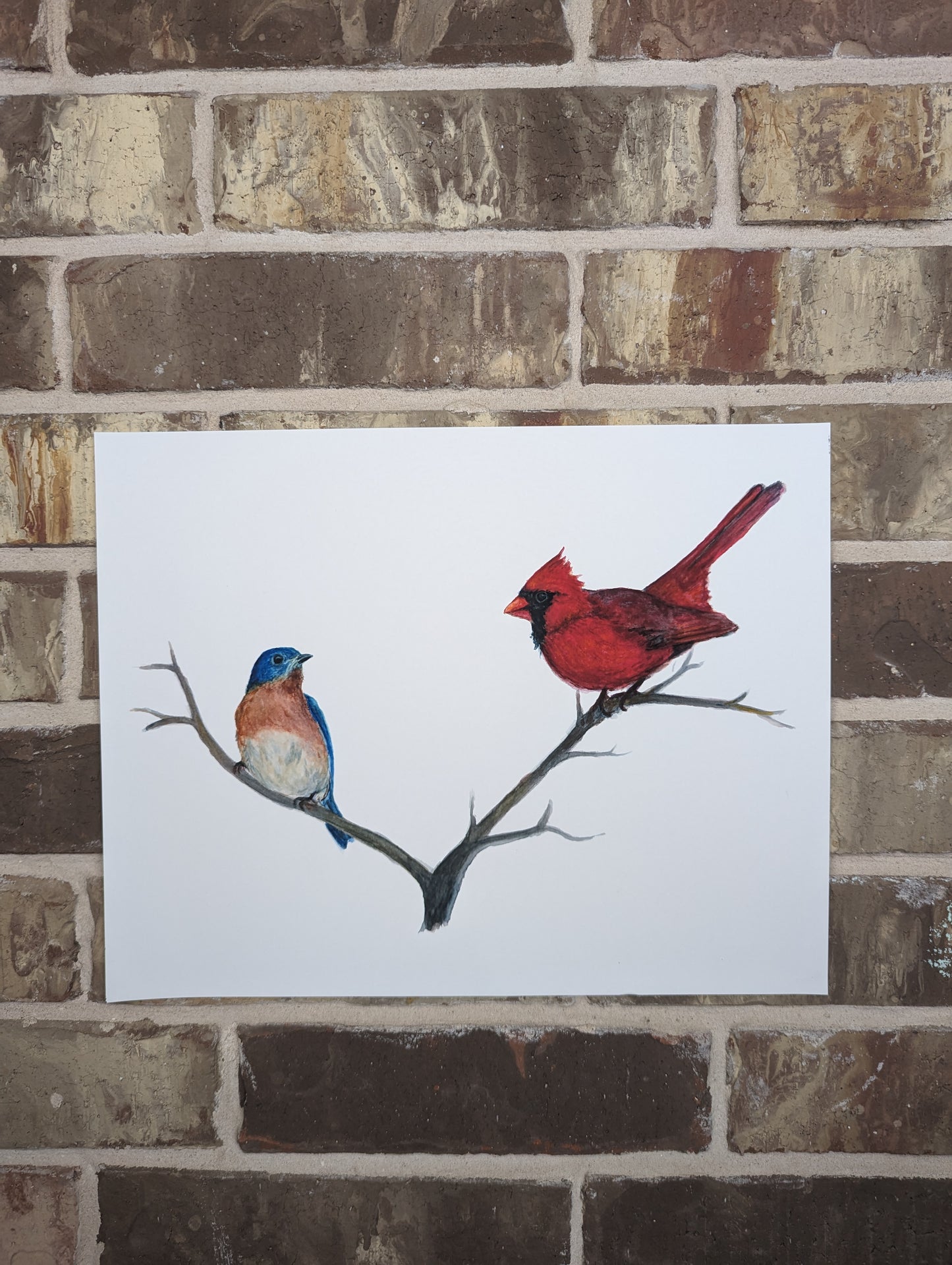Bluebird and Cardinal Print