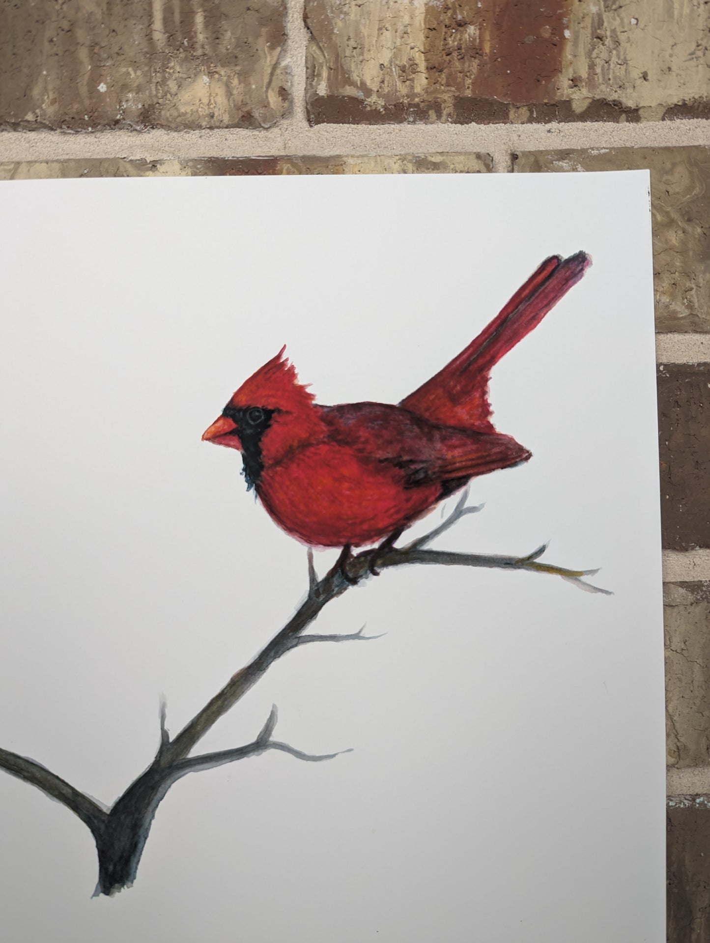 Bluebird and Cardinal Print