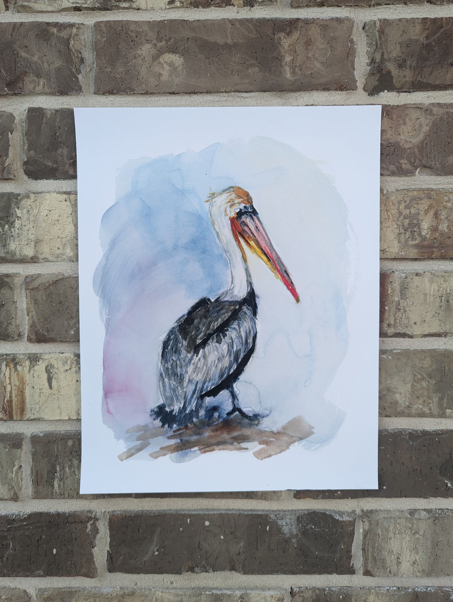 Pelican Art Print