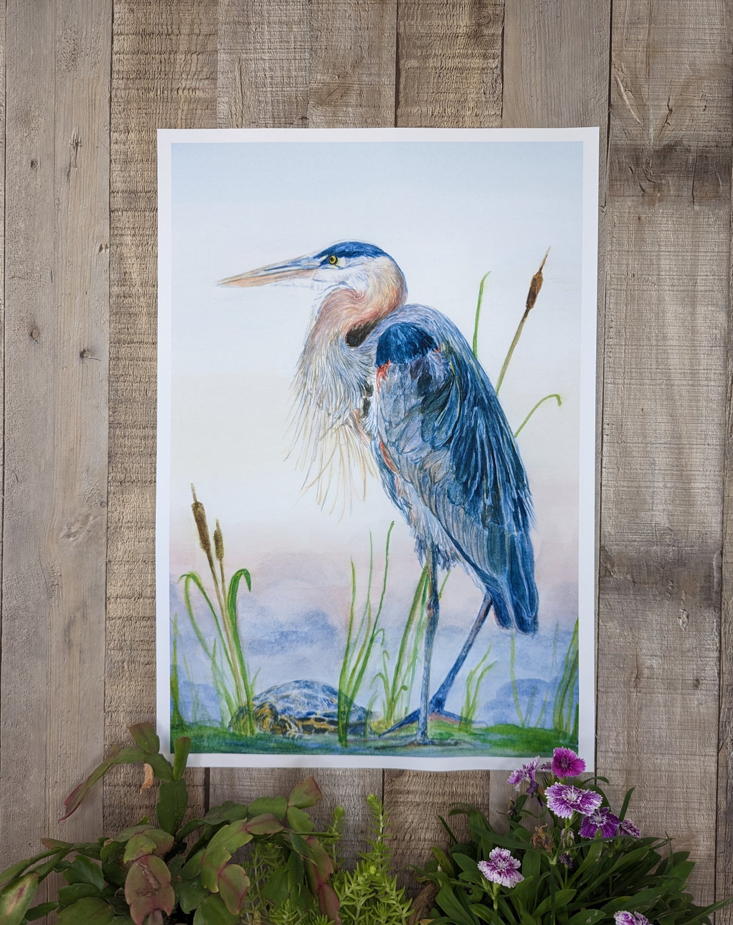 Great Blue Heron Fine Art Print