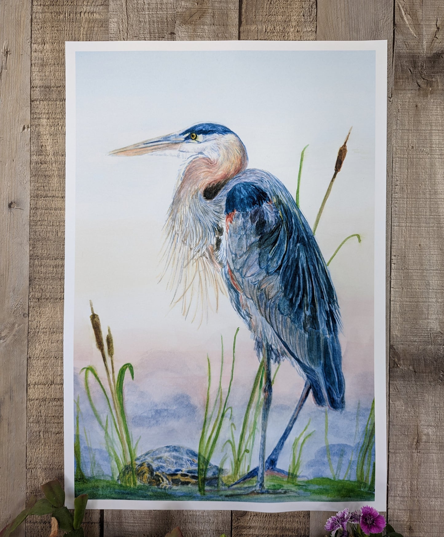 Great Blue Heron Fine Art Print