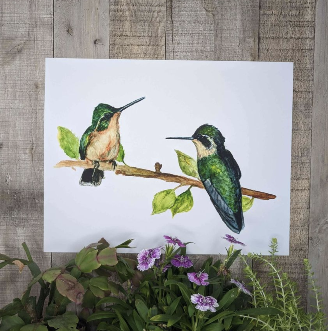 Hummingbirds Meet