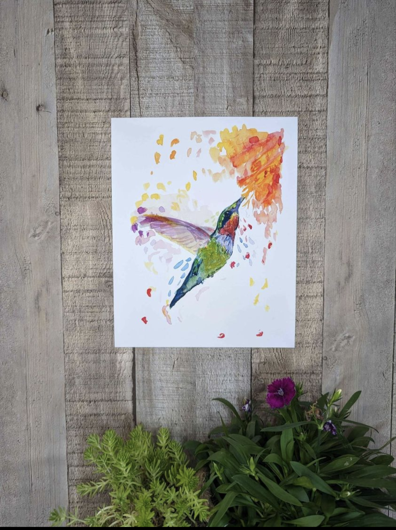 Colorful Hummingbird Wall Decor