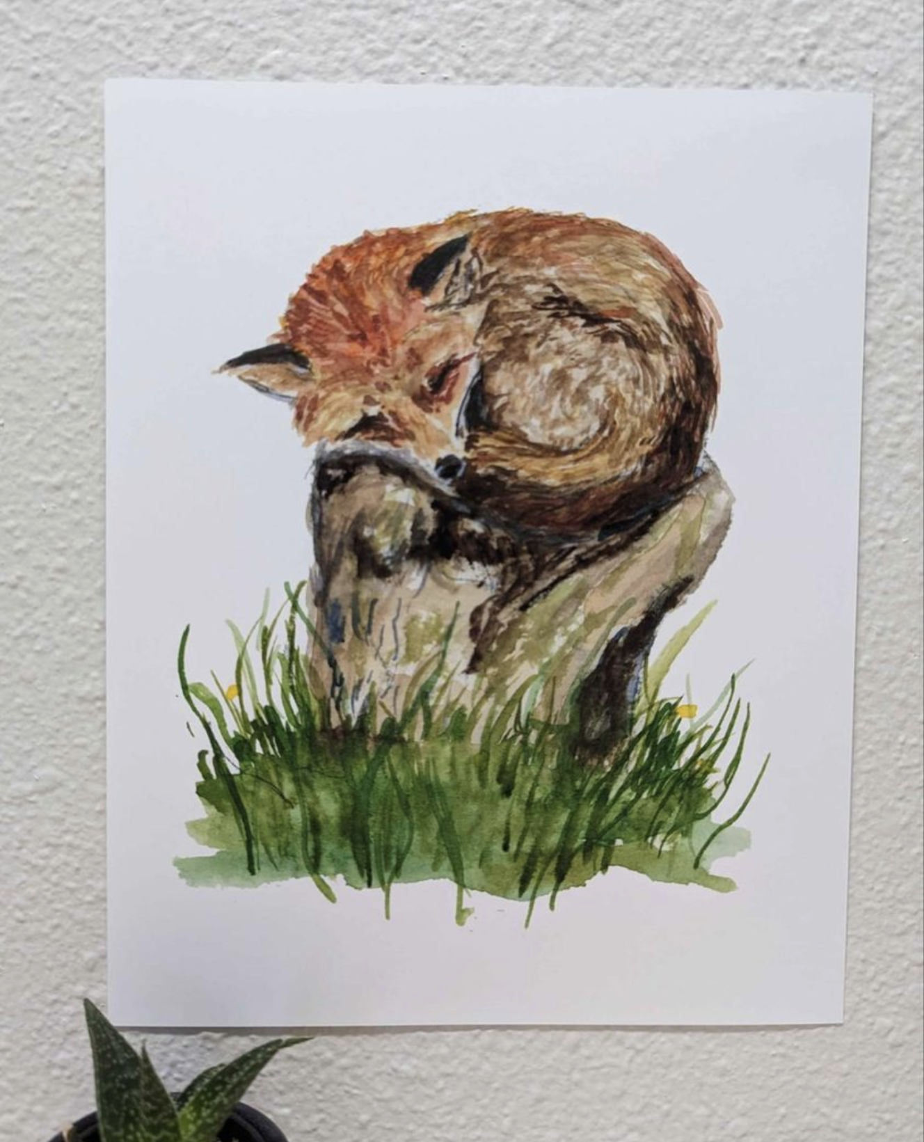 Sleeping Fox Print