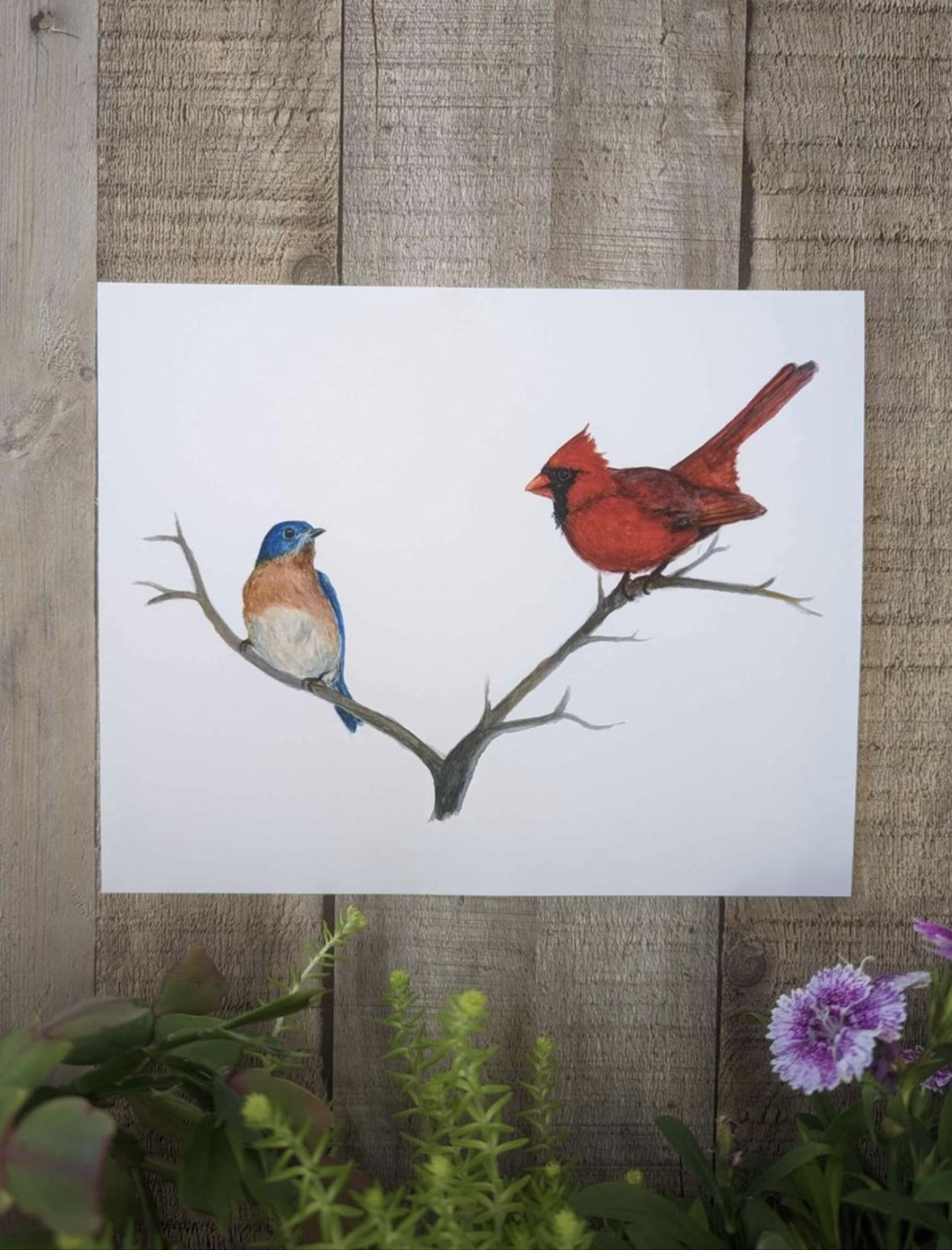 Bluebird and Cardinal Print