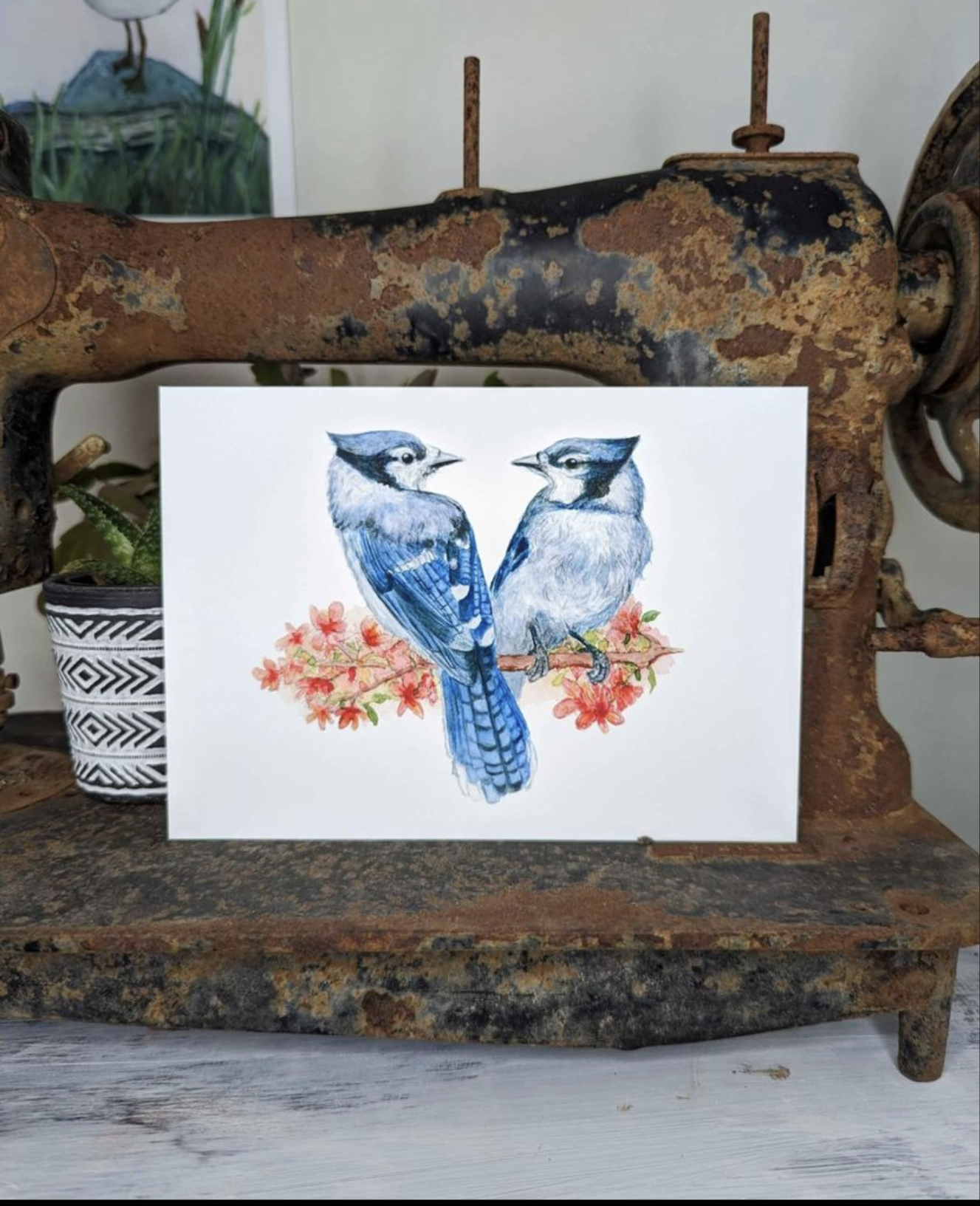 Bluejay Bird Print