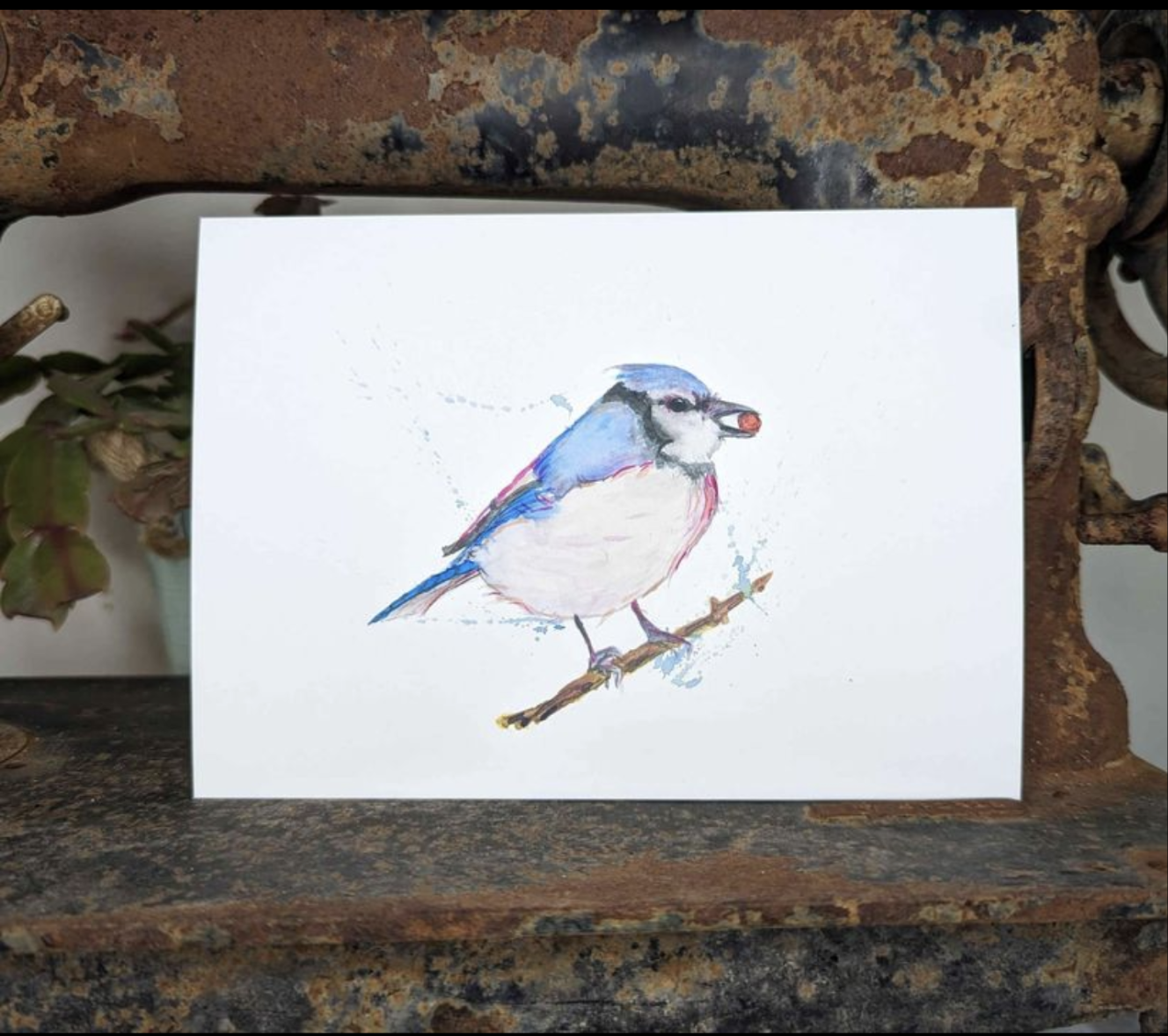 Loose Bluejay Watercolor Print