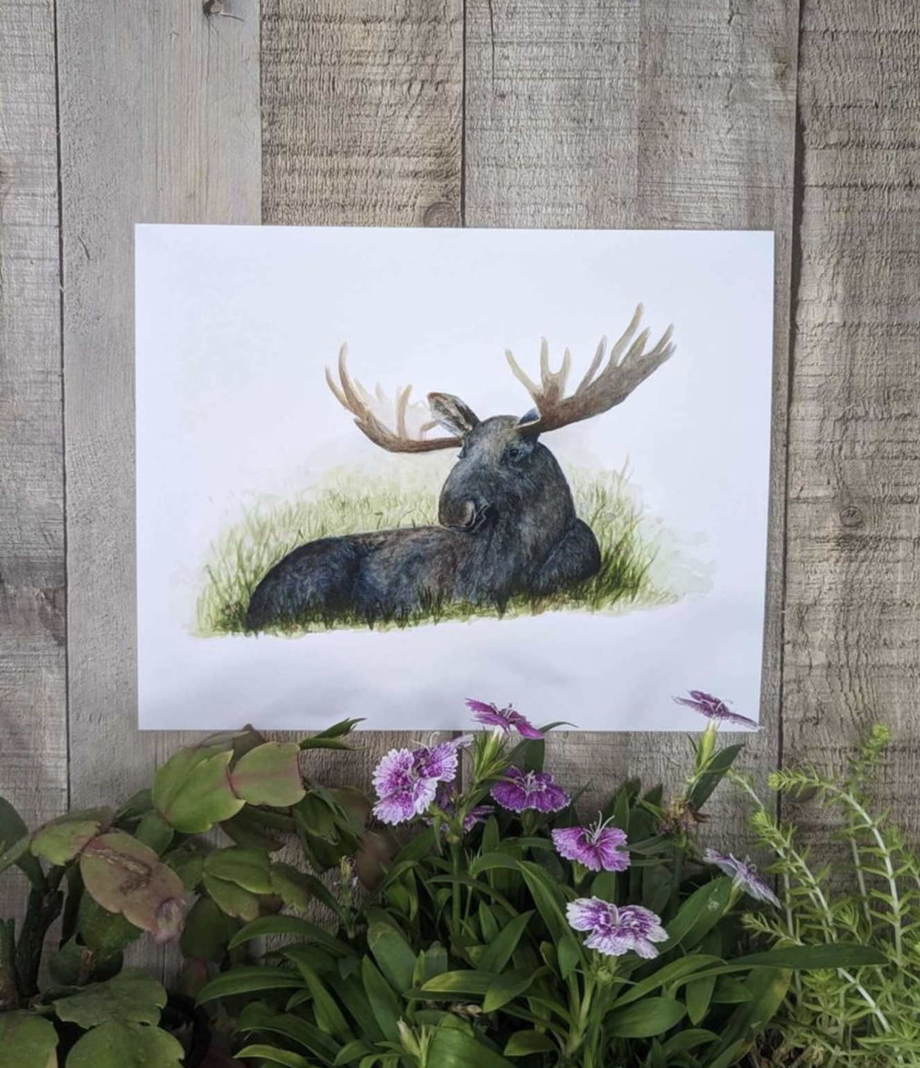 Resting Moose Wall Decor