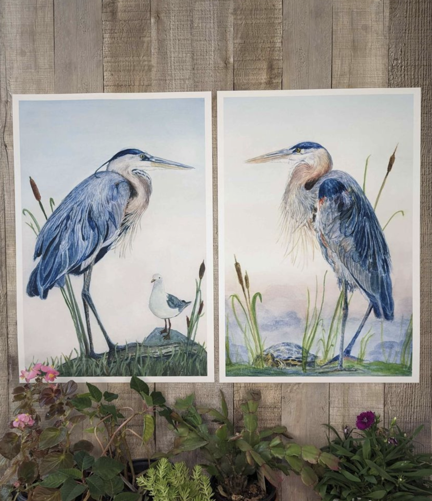 Pair Blue Heron Fine Art Prints